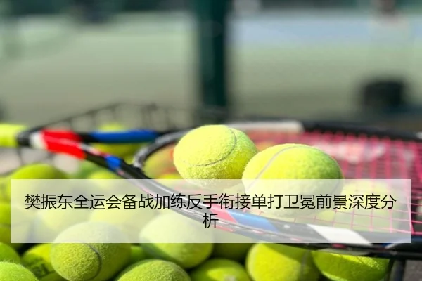 樊振东全运会备战加练反手衔接单打卫冕前景深度分析