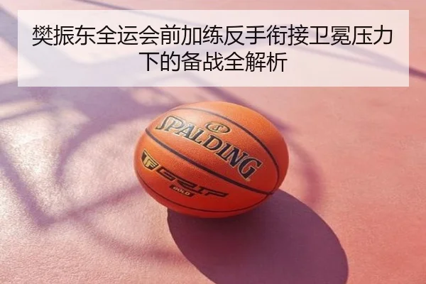 樊振东全运会前加练反手衔接卫冕压力下的备战全解析