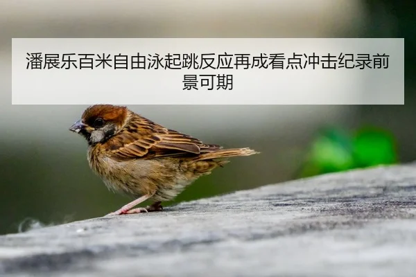 潘展乐百米自由泳起跳反应再成看点冲击纪录前景可期